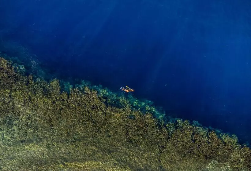 Fotos del hotel Rixos Sharm El Sheikh  Ultra All Inclusive Adults Friendly:  63