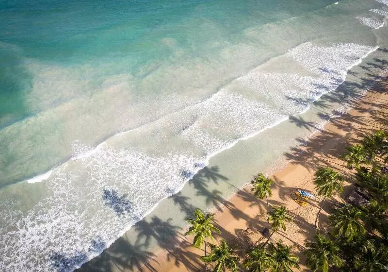 Fotos del hotel Sublime Samana:  12