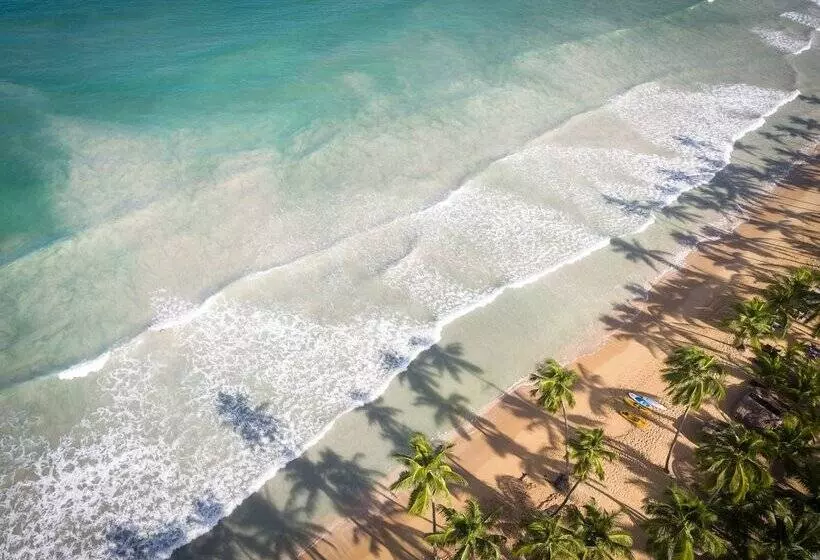 Fotos del hotel Sublime Samana:  16