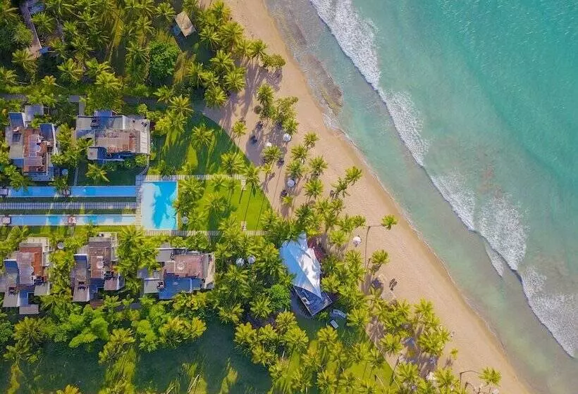 Fotos del hotel Sublime Samana:  15