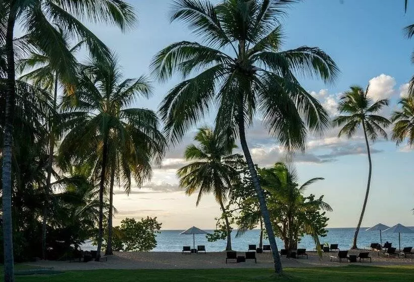 Fotos del hotel Sublime Samana:  11