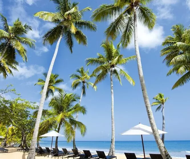 Fotos del hotel Sublime Samana:  23