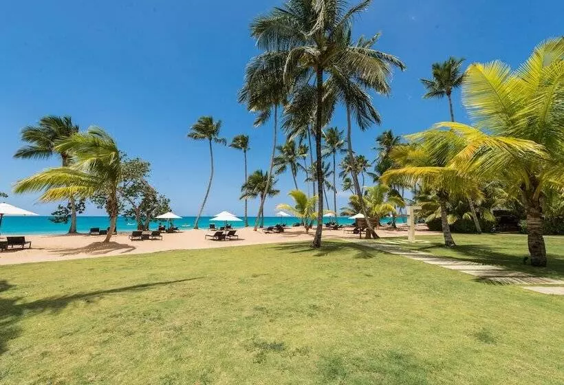 Fotos del hotel Sublime Samana:  24