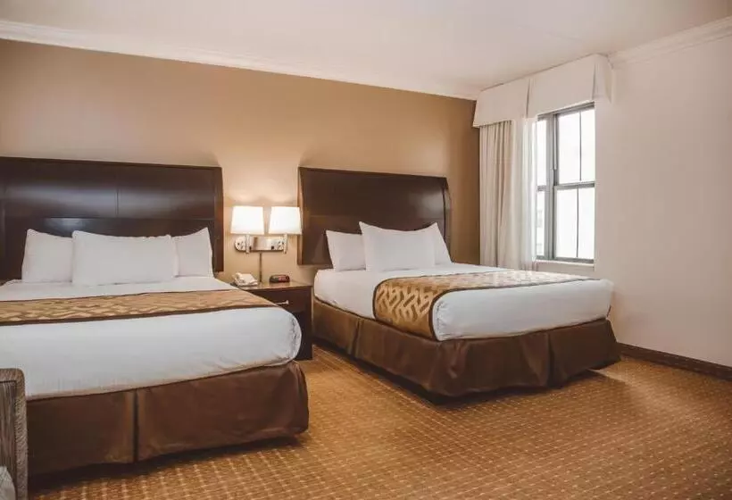 Fotos del hotel Chicago South Loop:  8