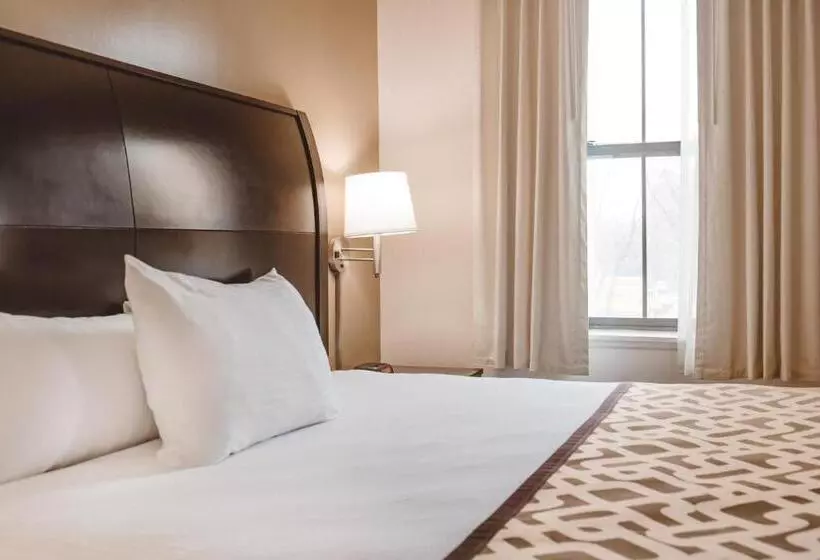 Fotos del hotel Chicago South Loop:  5