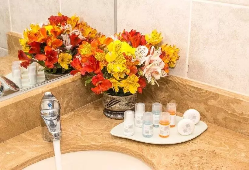 Fotos del hotel Hacienda Plaza De Armas:  3