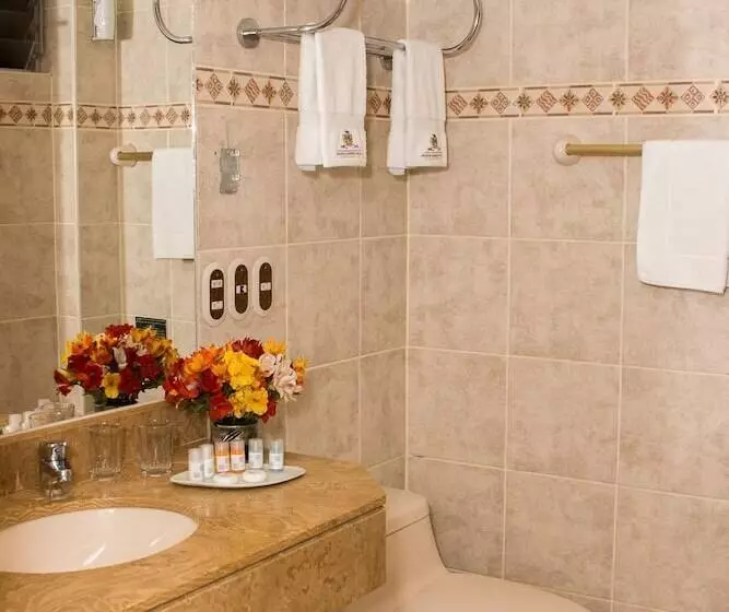 Fotos del hotel Hacienda Plaza De Armas:  10