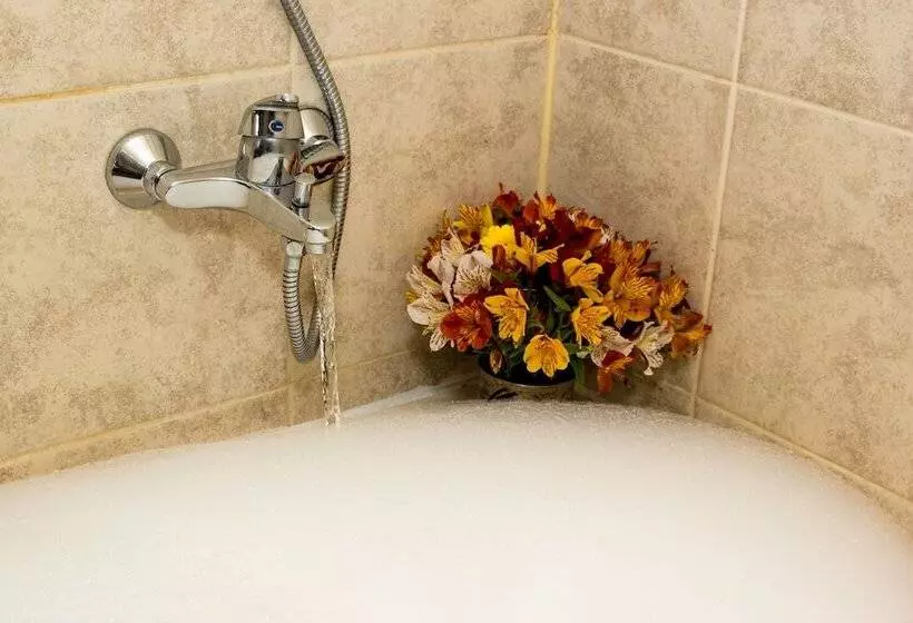 Fotos del hotel Hacienda Plaza De Armas:  14