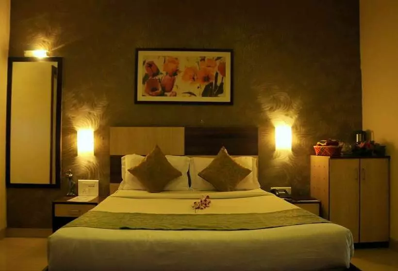 Fotos del hotel Madhav International:  20