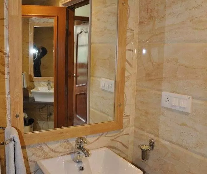 Fotos del hotel The Manali Inn:  9