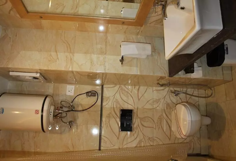 Fotos del hotel The Manali Inn:  21