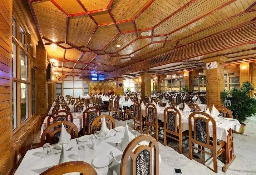 Fotos del hotel The Manali Inn:  6