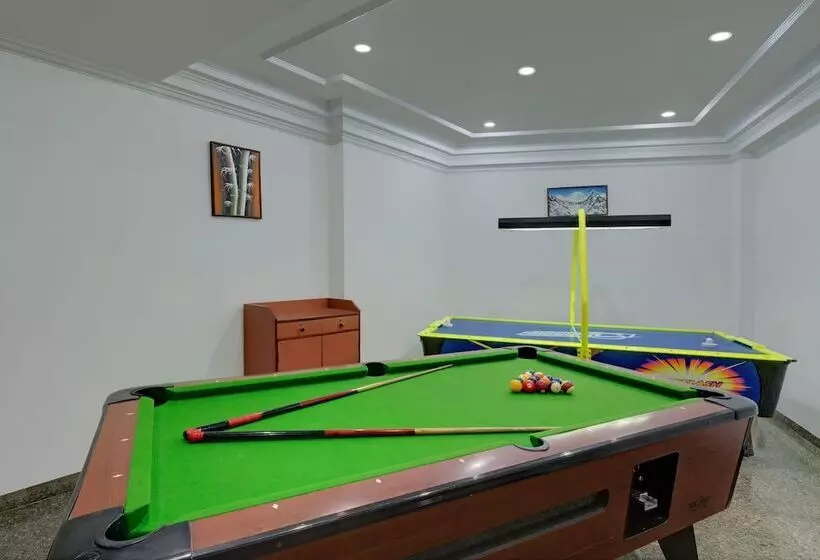 Fotos del hotel The Manali Inn:  18