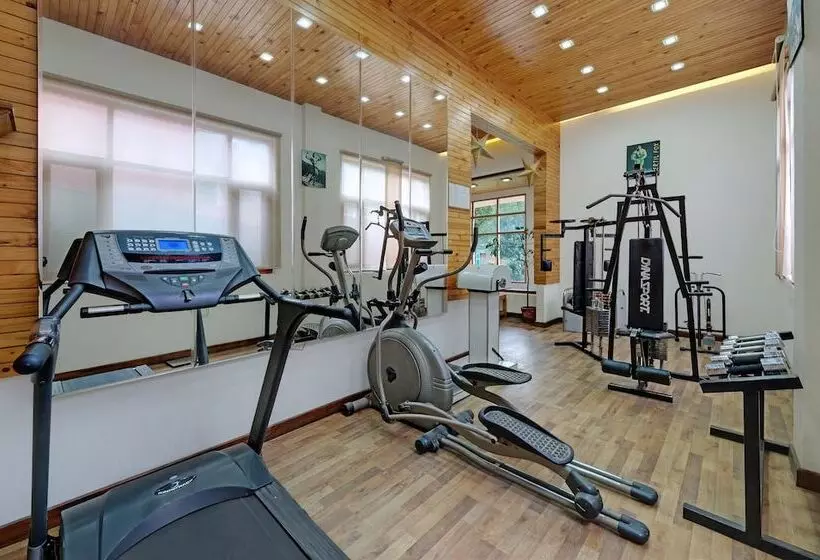 Fotos del hotel The Manali Inn:  4