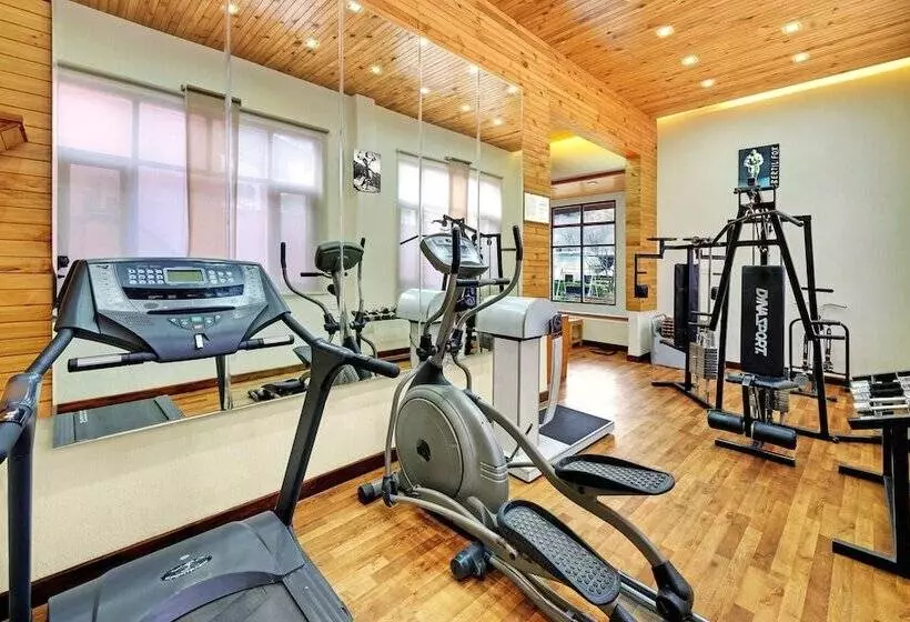 Fotos del hotel The Manali Inn:  12