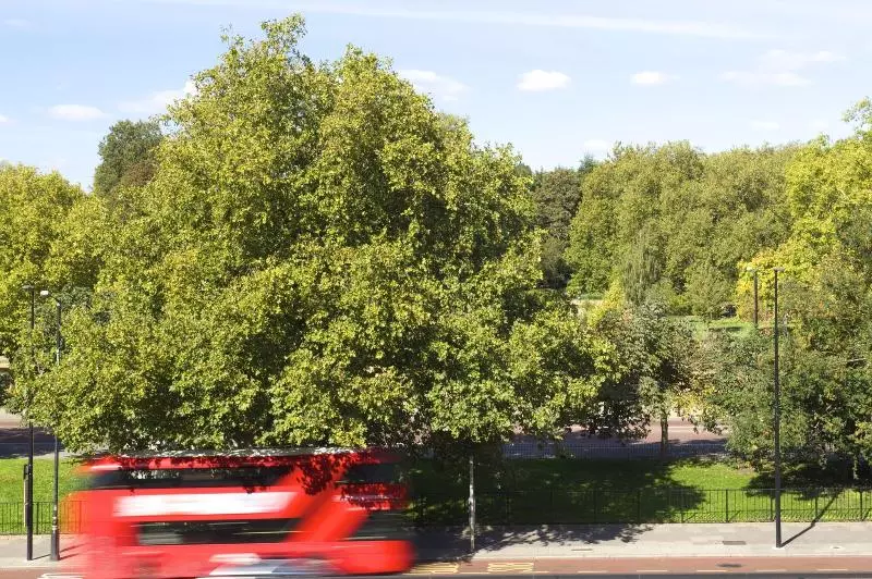 Fotos del hotel The Wellesley, A Luxury Collection Hotel, Knightsbridge, London:  21