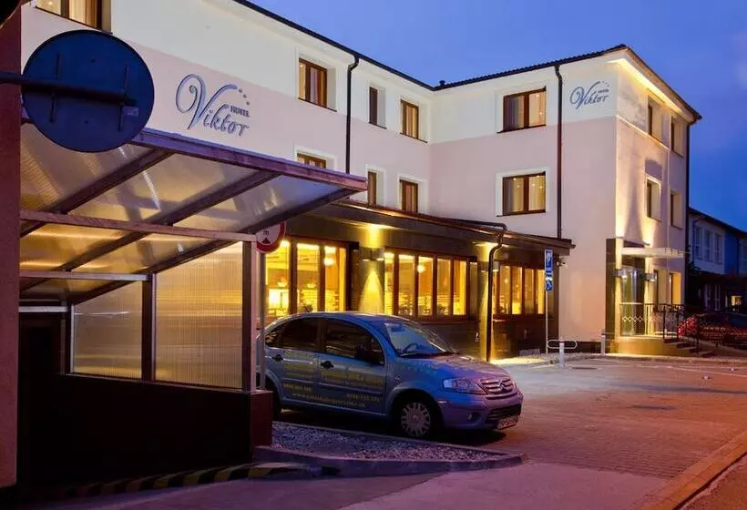 Fotos del hotel Viktor:  7