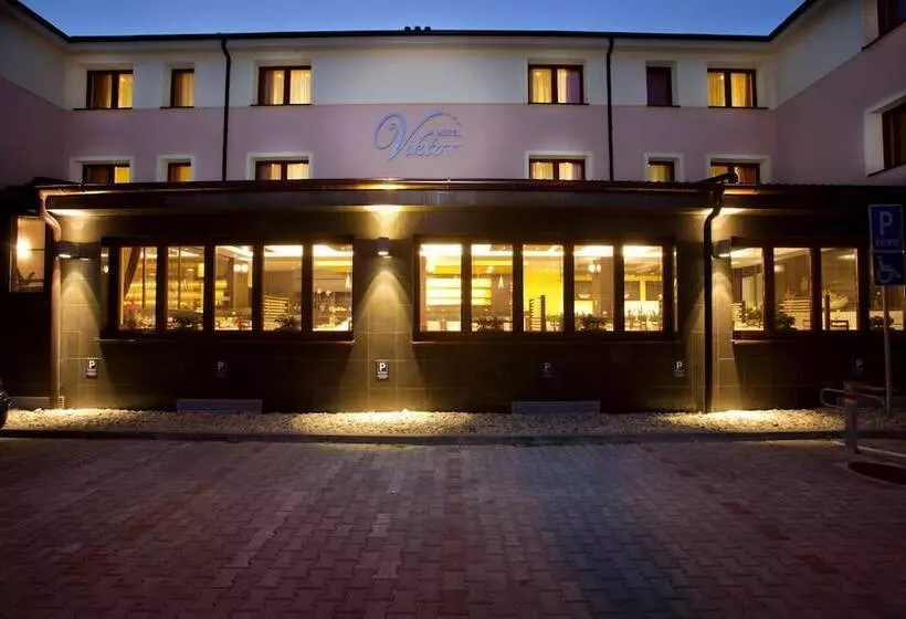 Fotos del hotel Viktor:  14