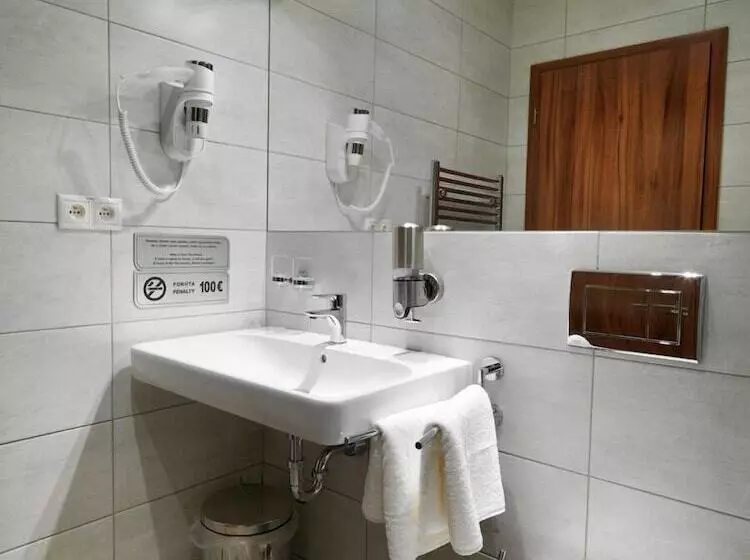 Fotos del hotel Viktor:  11