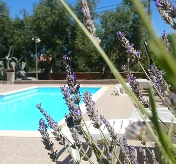 Fotos del hotel Villa Stari Dvor:  6