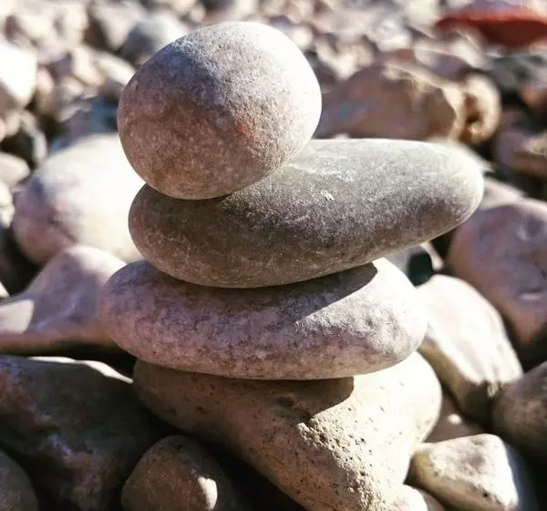 Fotos del hotel Villa Stari Dvor:  4