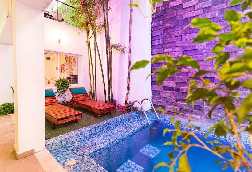 Fotos del hotel Eclipse Mérida:  22