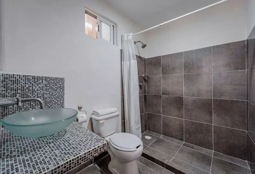 Fotos del hotel Eclipse Mérida:  12