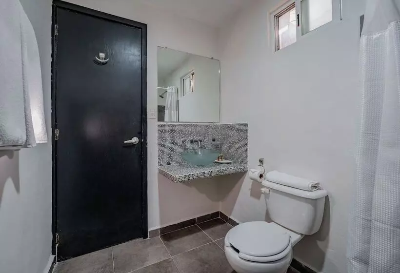 Fotos del hotel Eclipse Mérida:  20