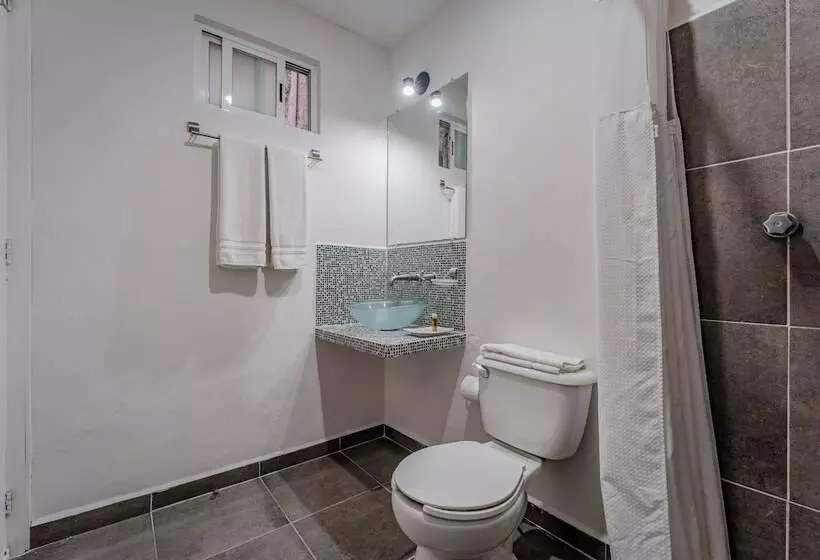 Fotos del hotel Eclipse Mérida:  17