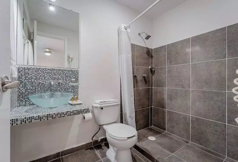 Fotos del hotel Eclipse Mérida:  6