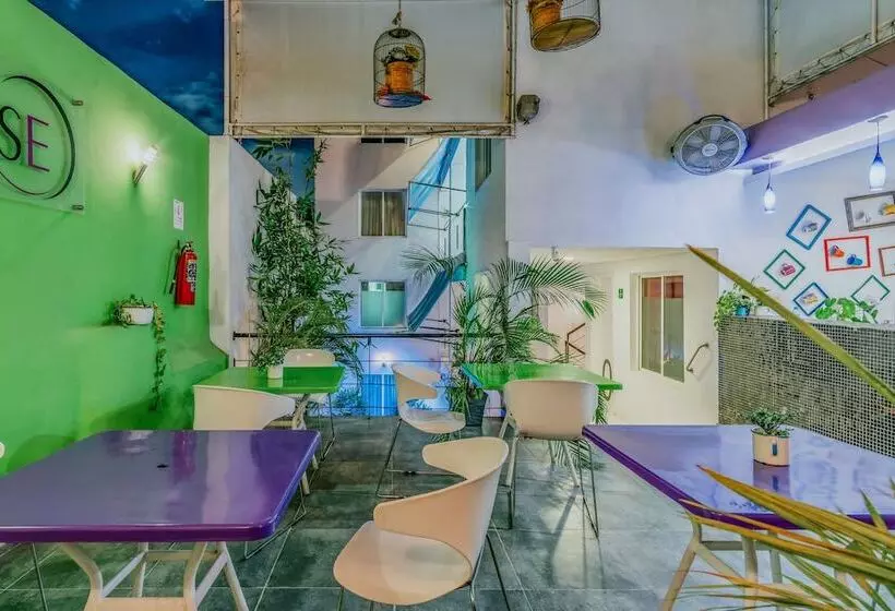 Fotos del hotel Eclipse Mérida:  4