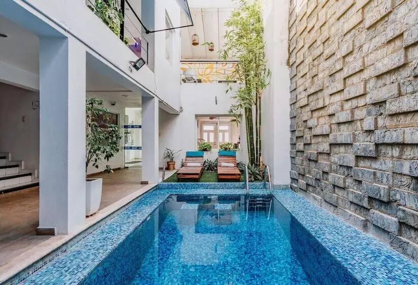 Fotos del hotel Eclipse Mérida:  14