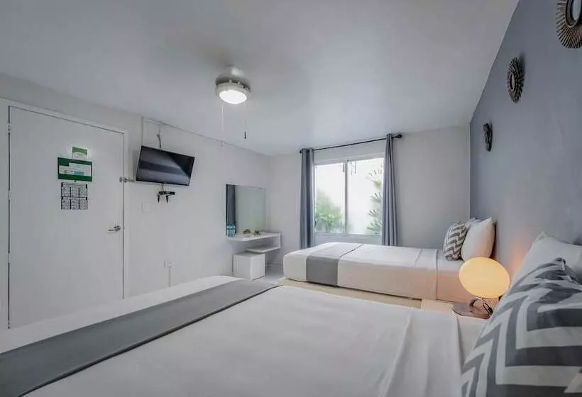 Fotos del hotel Eclipse Mérida:  21