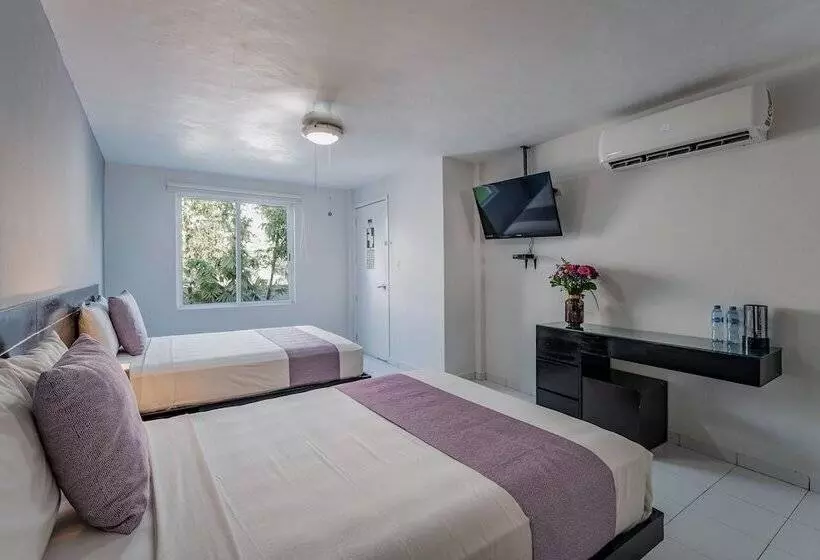 Fotos del hotel Eclipse Mérida:  8