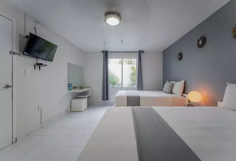 Fotos del hotel Eclipse Mérida:  25