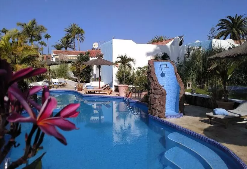 Fotos del hotel Birdcage Gay Men Resort And Lifestyle:  8