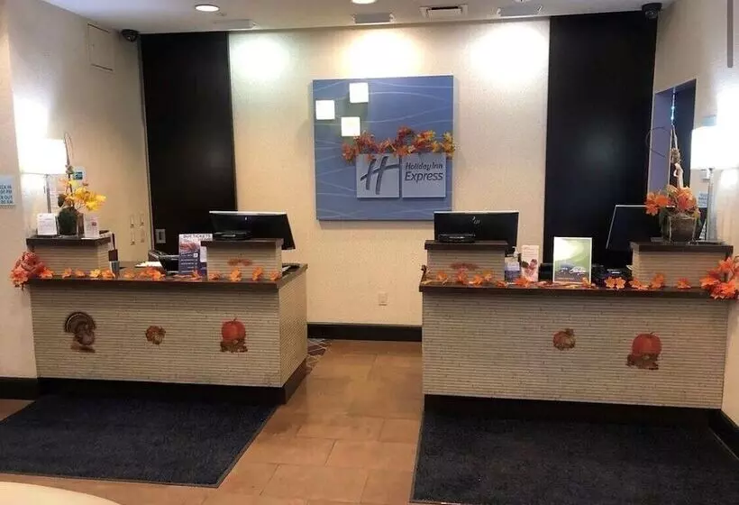 Fotos del hotel Holiday Inn Express  Times Square South, An Ihg:  10