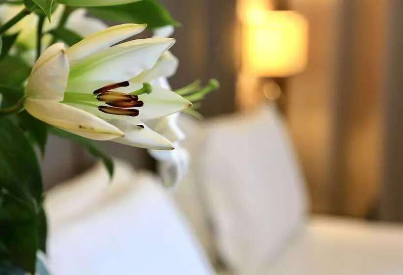 Fotos del hotel Klima Hotel Milano Fiere:  5