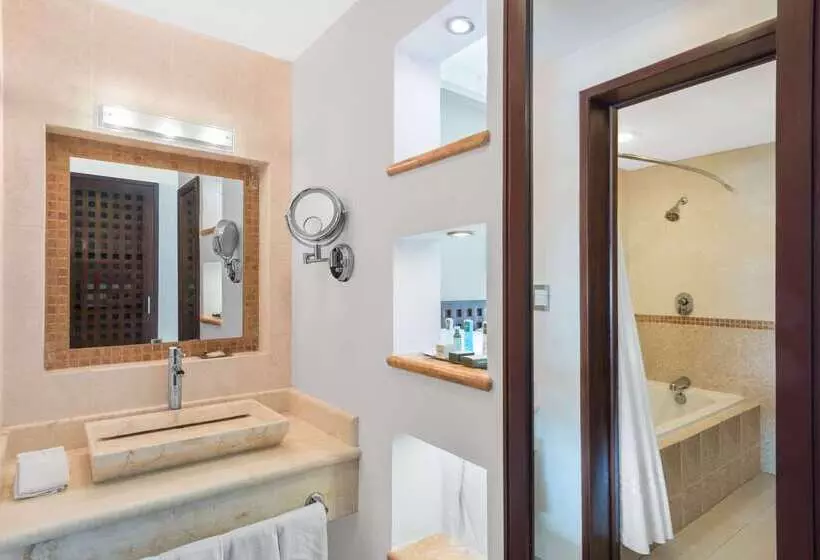 Fotos del hotel Wyndham Merida:  7