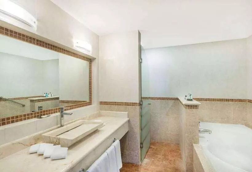 Fotos del hotel Wyndham Merida:  12