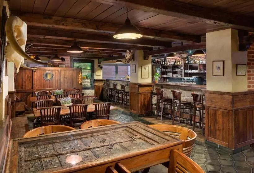 Fotos del hotel Oya:  6