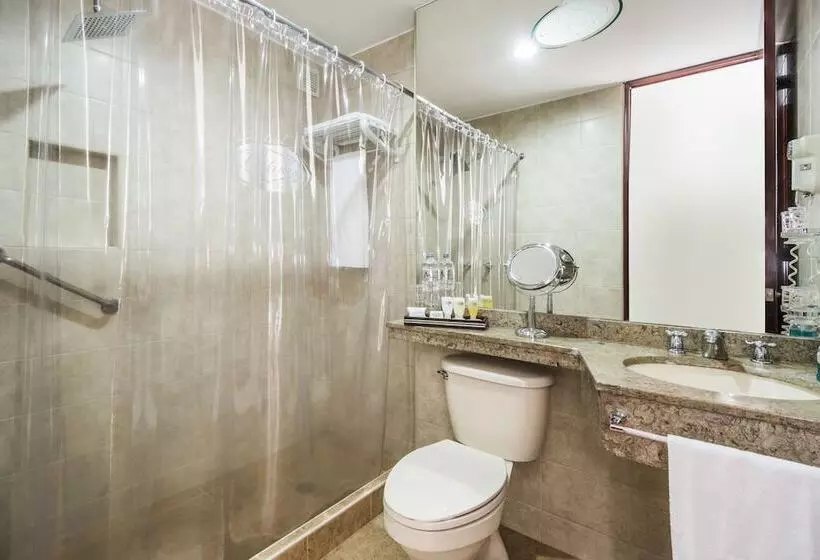 Fotos del hotel Platinum Suite:  7