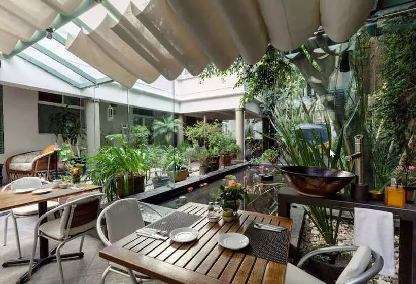 Fotos del hotel Villa Condesa:  17