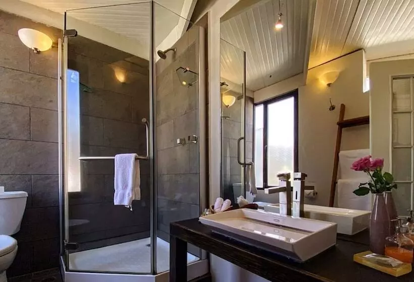 Fotos del hotel Villa Condesa:  12