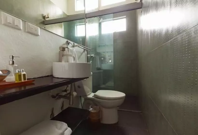 Fotos del hotel Villa Condesa:  18