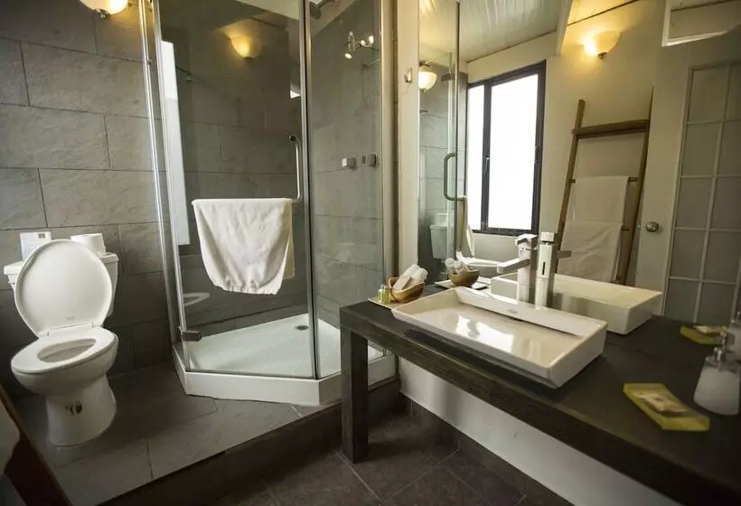 Fotos del hotel Villa Condesa:  21