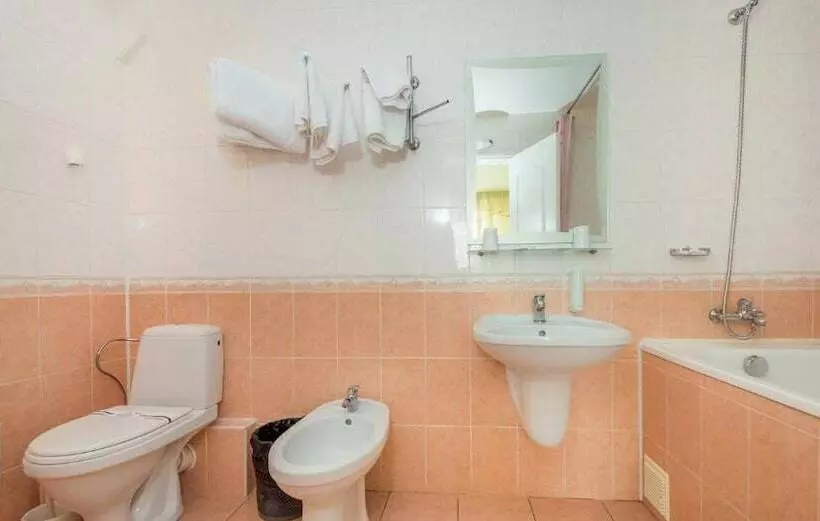 Fotos del hotel Druzhba:  13