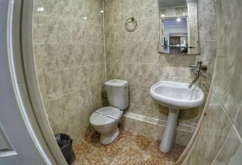 Fotos del hotel Druzhba:  15