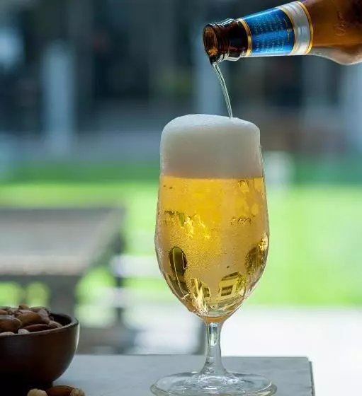 Fotos del hotel Isg Sabiha Gökçen Airport:  10