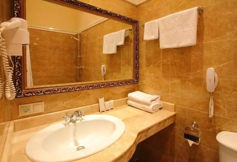 Fotos del hotel Royal Congress:  15